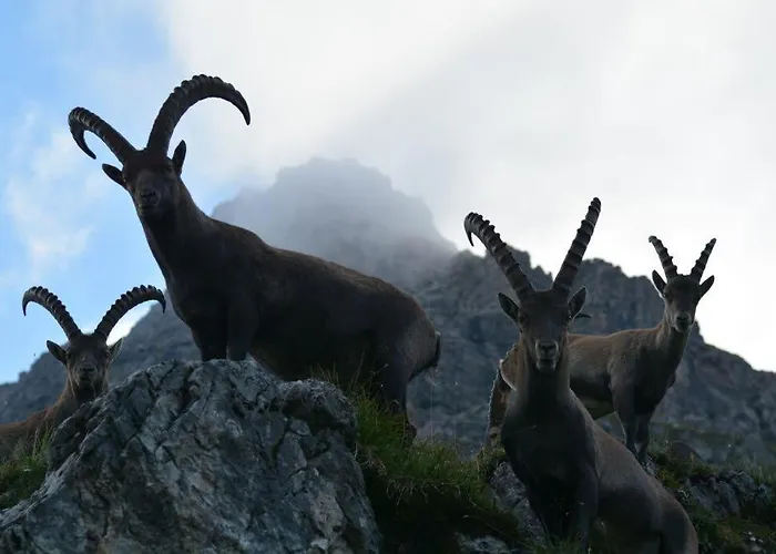 Anja Lejlighed Steeg