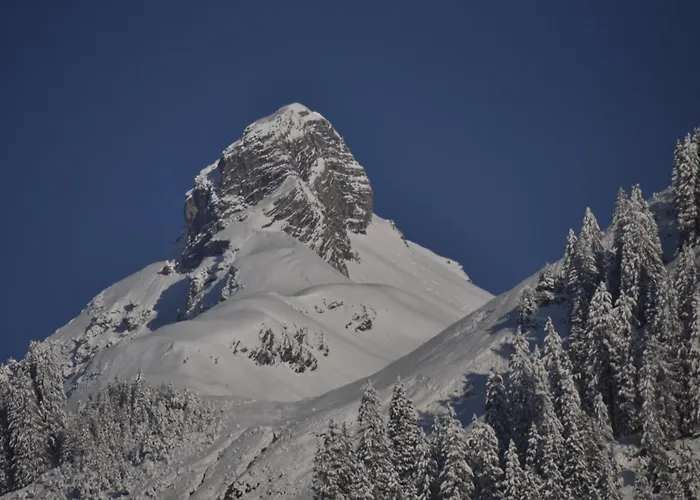 Anja Apartmán Steeg
