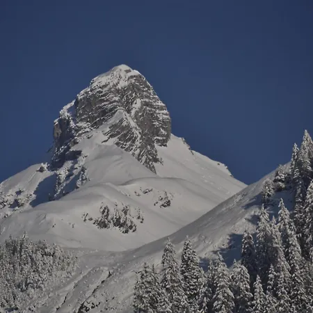 Anja 아파트 스티그